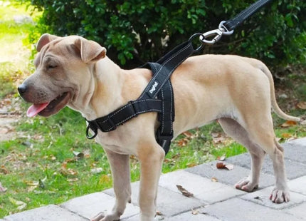 Arnés Ajustable para Perros – Seguridad, Comodidad y Control en Cada Paseo